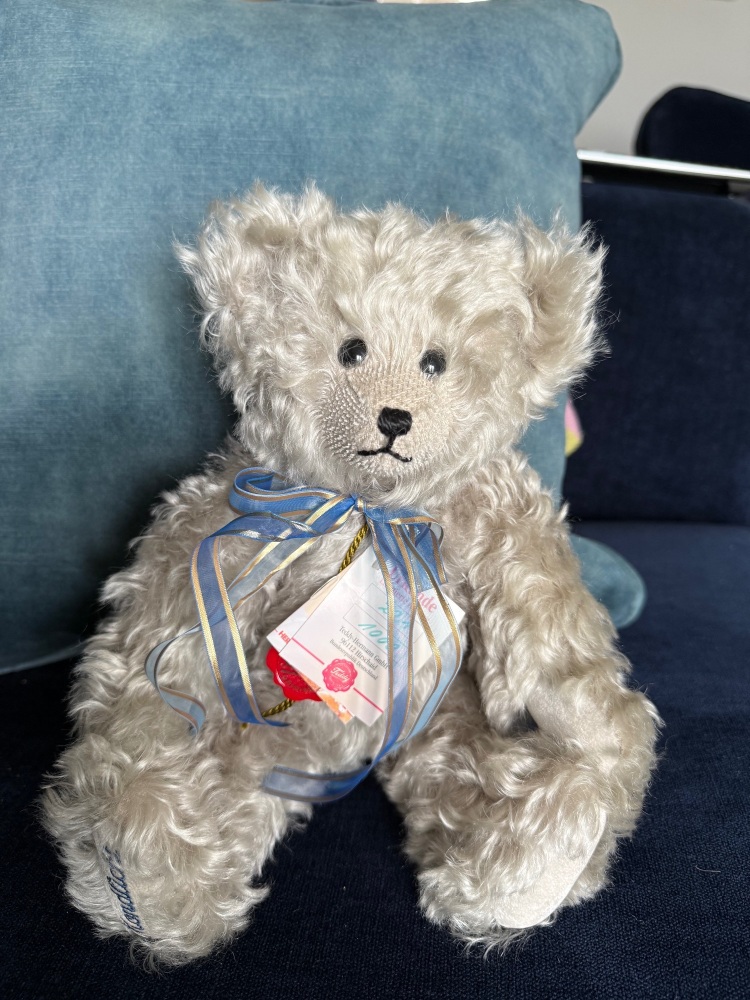 Hermann bear Mondlicht (moonlight)