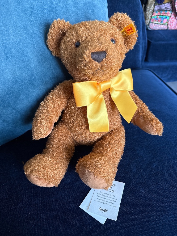 Steiff best for kids bear 690037 year 2017