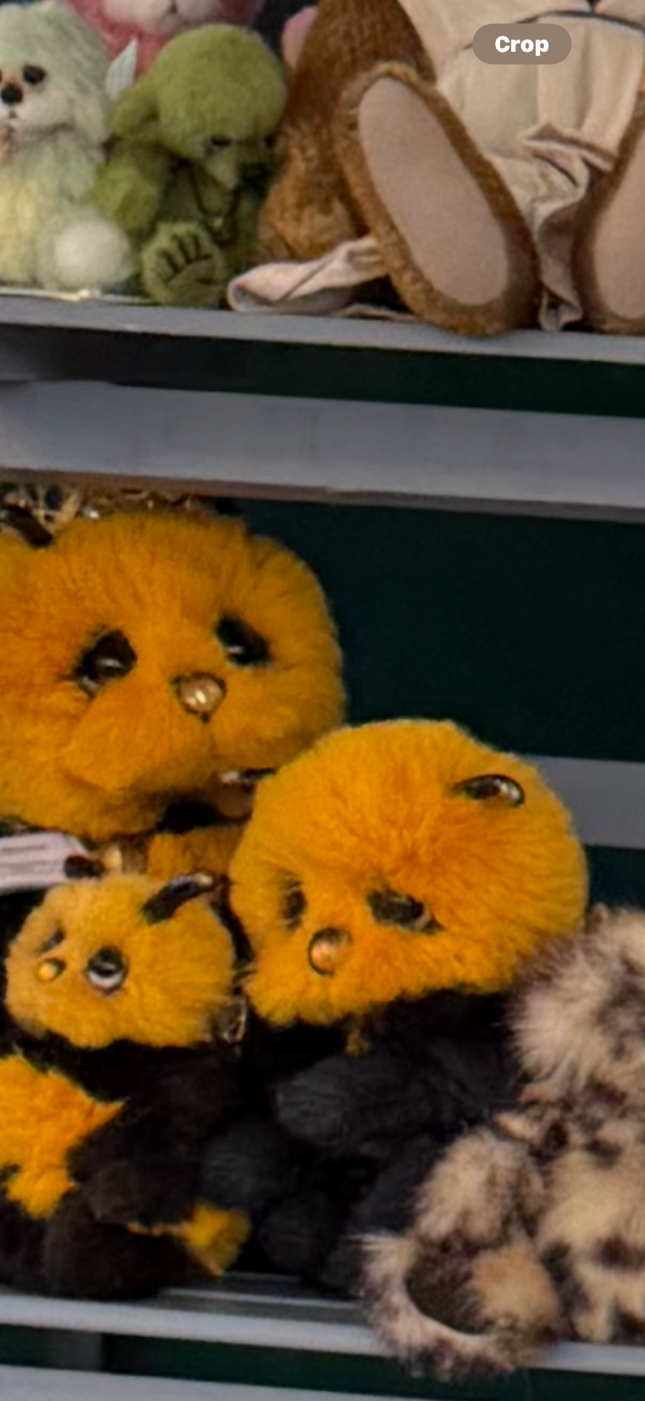 Bee by Madabout bears