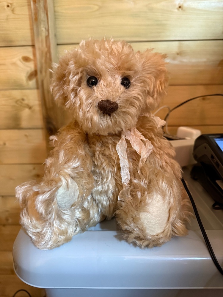 Bear for Julie bridge