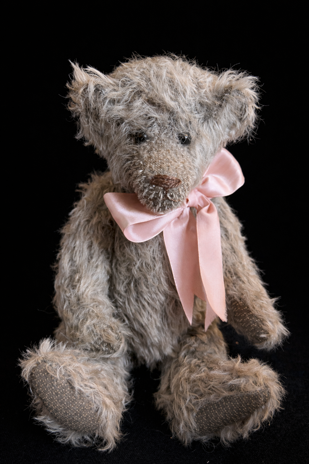 Sweet cicely by H.M Bears