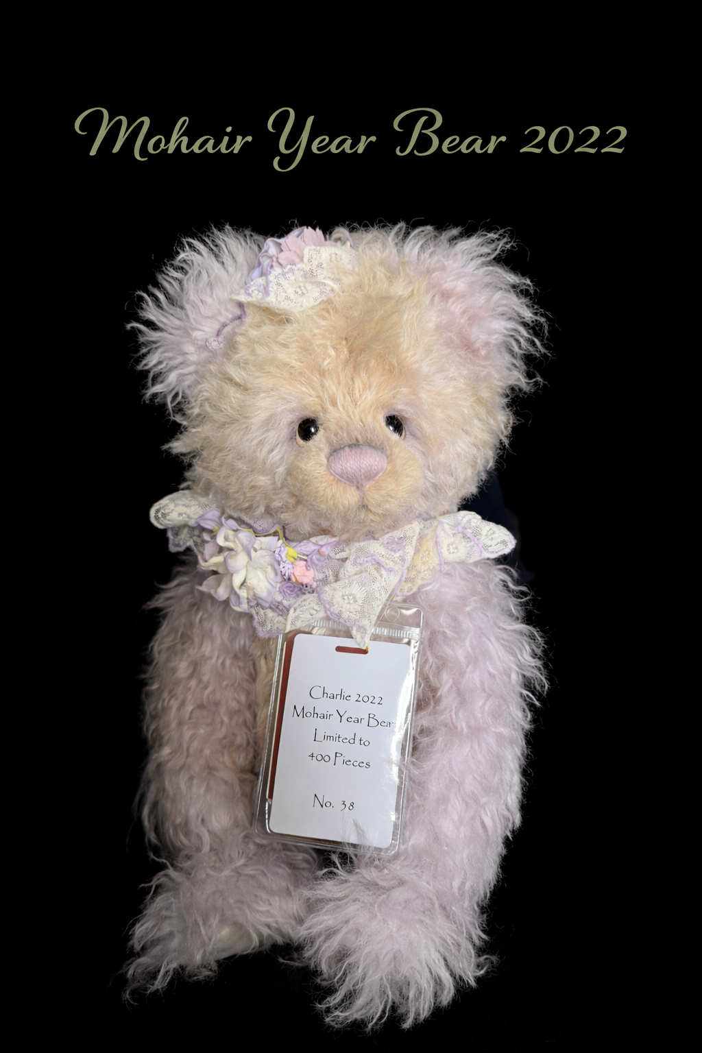 Charlie 2022 Mohair year bear