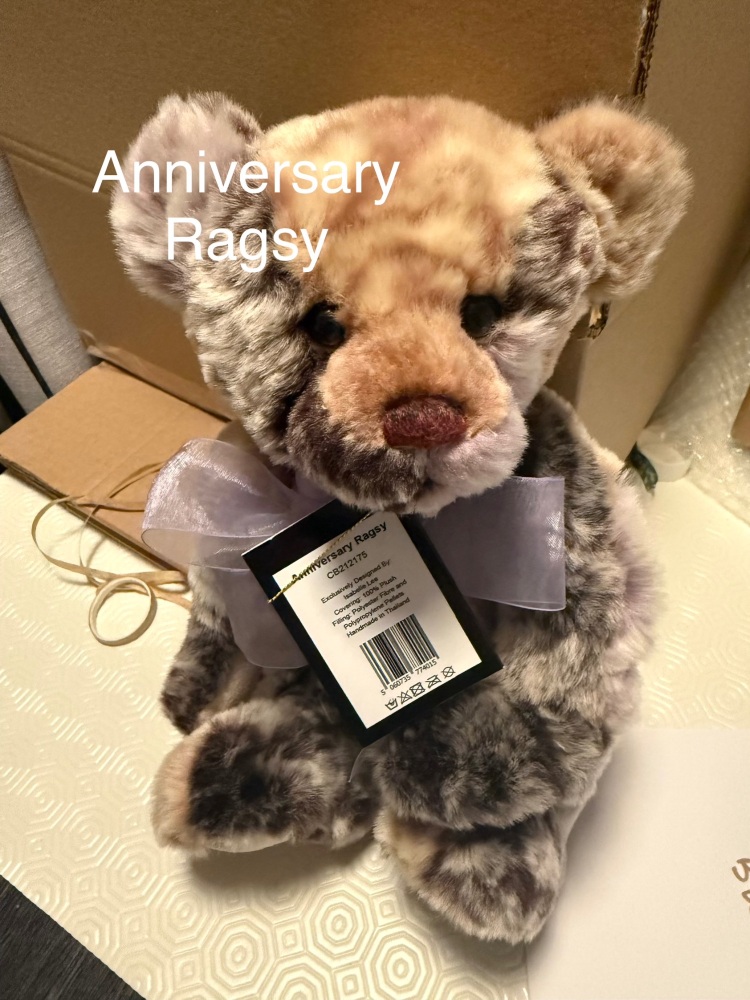 Anniversary Ragsy