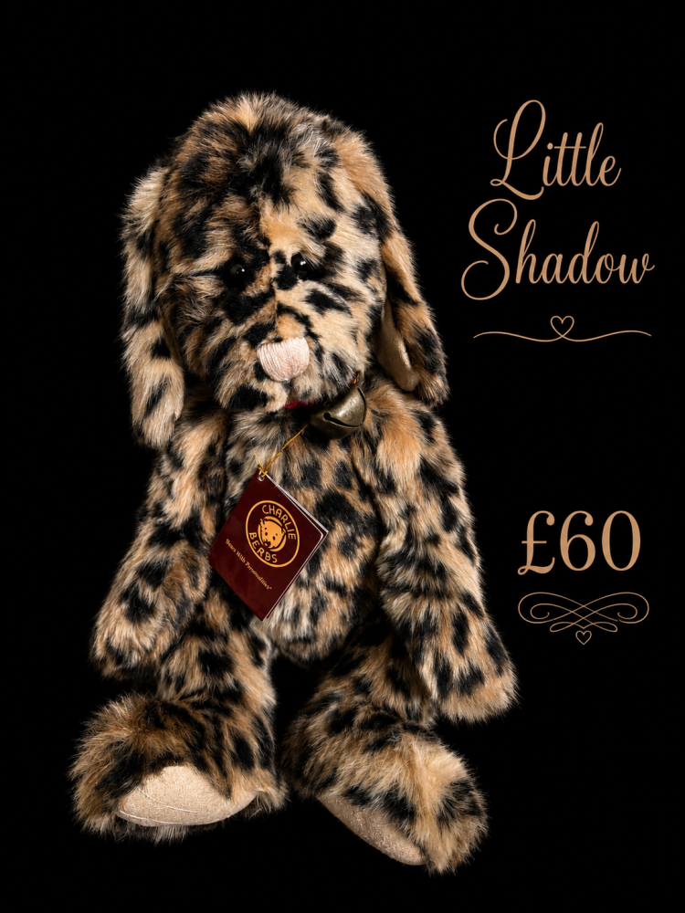 Little shadow