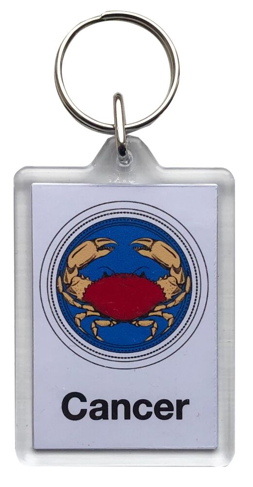 Cancer - Plastic Keyring with 35 x 50mm Insert - Free UK Delivery