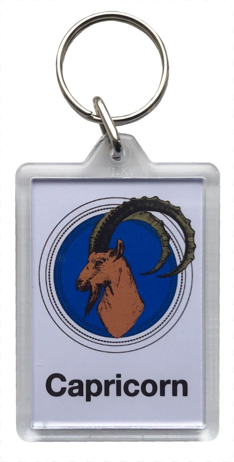 Capricorn - Plastic Keyring with 35 x 50mm Insert - Free UK Delivery