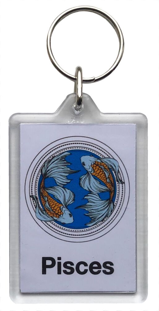 Pisces - Plastic Keyring with 35 x 50mm Insert - Free UK Delivery