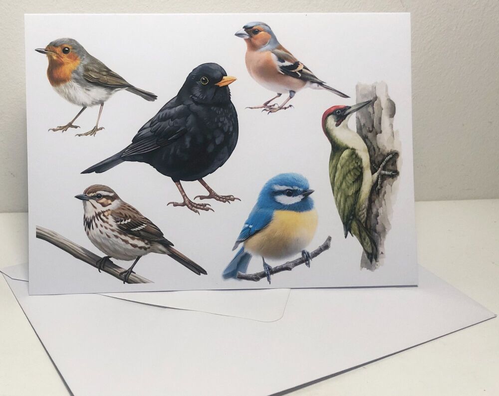 British Birdlife Greeting Card (5x7") - Birthday or Blank Card & Envelope