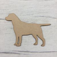 Dog  - Labrador Golden retriever 1