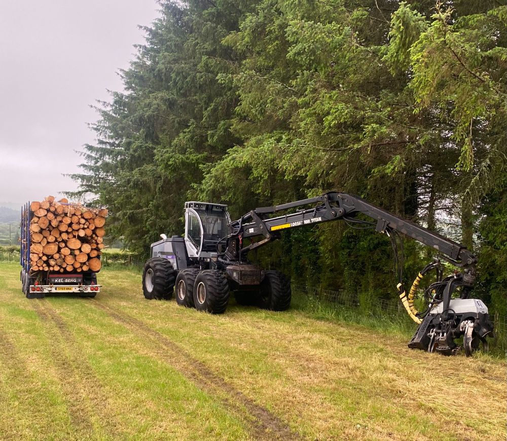 Timber Harvesting services for Scotland, professional and experienced