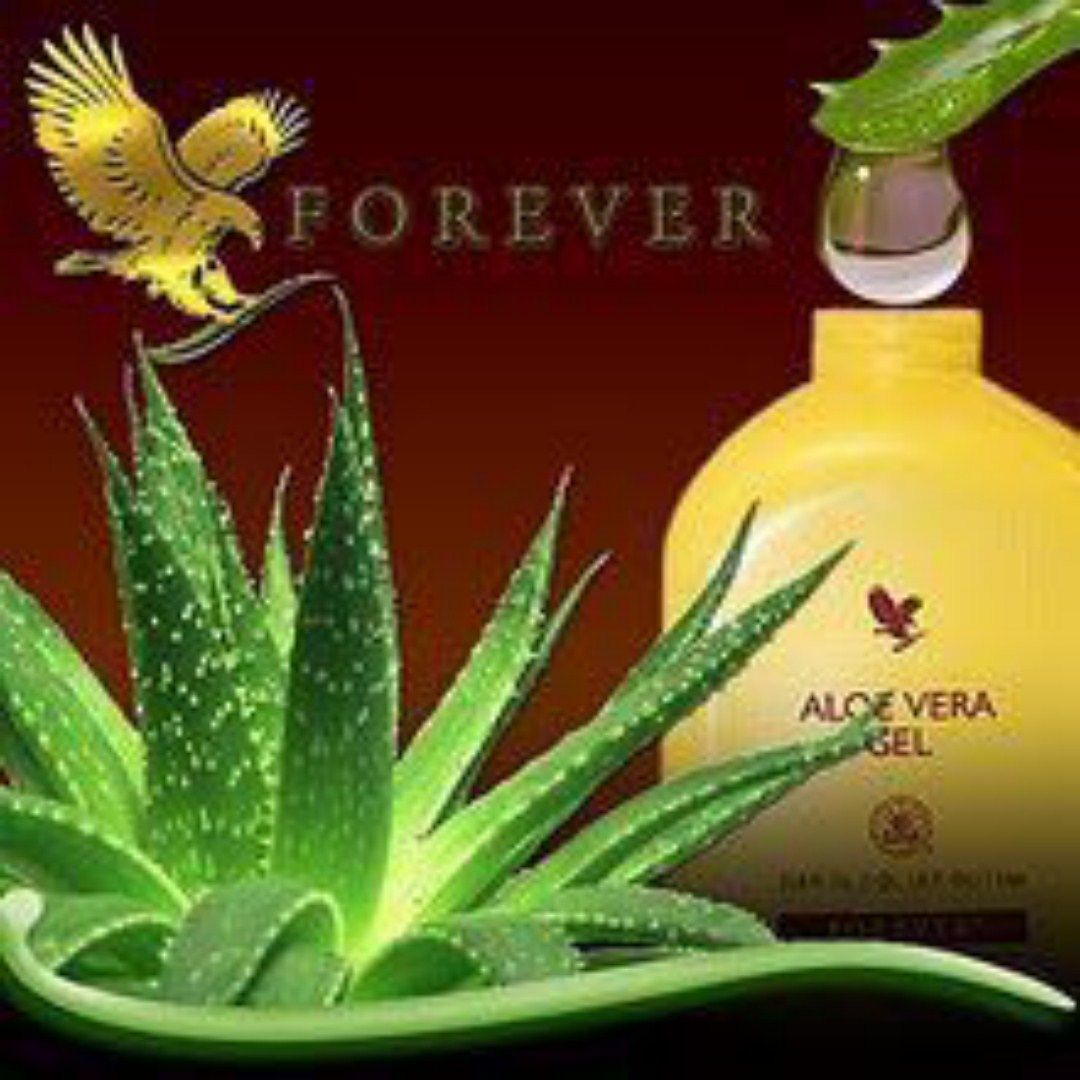 aloe gel [HDTV (1080)] (1)