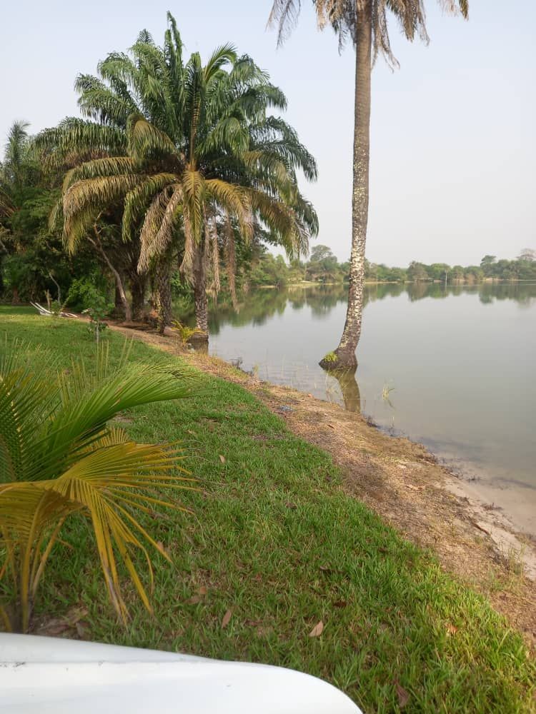 lac2