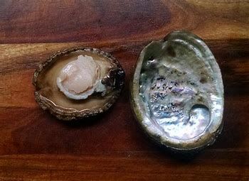 Eat the meat, then use the shell for decoration