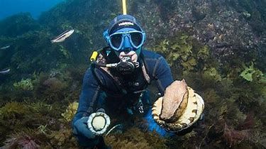 Jewellery made from the inside of the Abalone