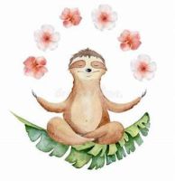 sloth harmony