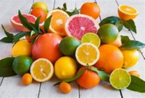Citrus Fruit