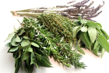 image_Mixed_Fresh_Herbs_Bunch_Sage_Bay_Leaf_Rosemary__