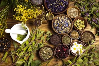 herbs used in Incense