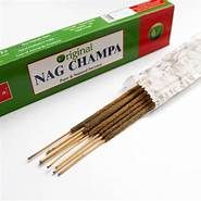 BRAND - NANDITA STD - NAG CHAMPA - 2022 X2