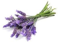 INGREDIENTS -- BUNCH OF lavender 2022