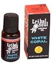 Hari Darshan - Tribal Soul Aroma Oil - White Copal