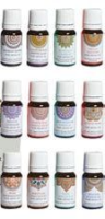 2024 - MULTI SHOT GOLOKA OILS - 2