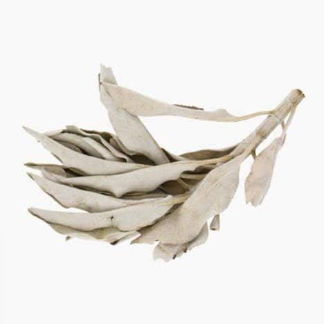 Unboxed loose Incense Sticks & Cones ~ Californian White Sage