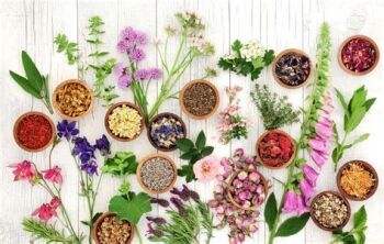 2024 mixed herbs and flower for incense titbetian
