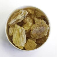 2024 - copal