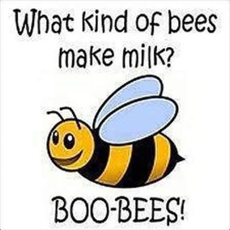 2024 BEE JOKE 3