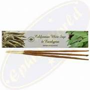 Green Tree - Californian White Sage & Eucalyptus Incense (stick)