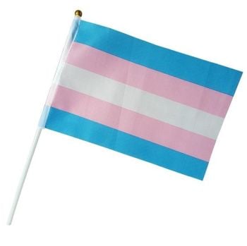 Transgender Handheld Flag on stick