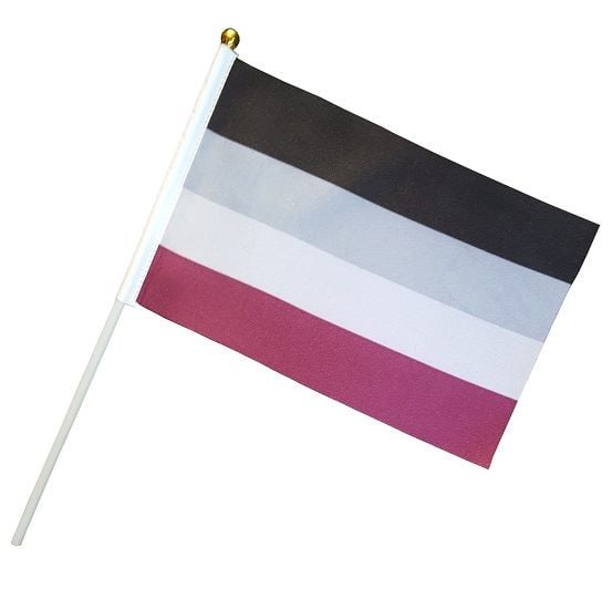 Asexual Handheld Flag on stick