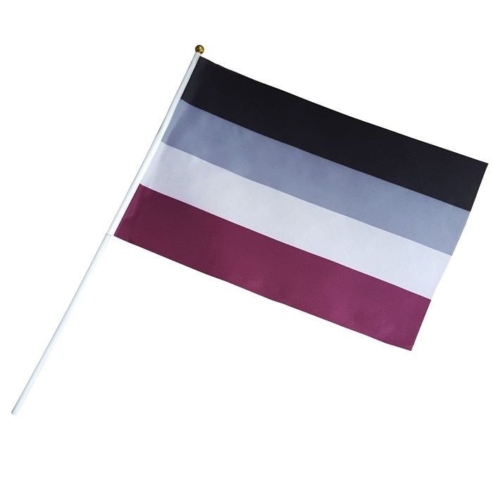 Large Asexual Pride Hand Flag 18'' x 12'' / 30 x 45 cm