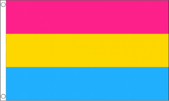 5ft x 3ft Pansexual Flag