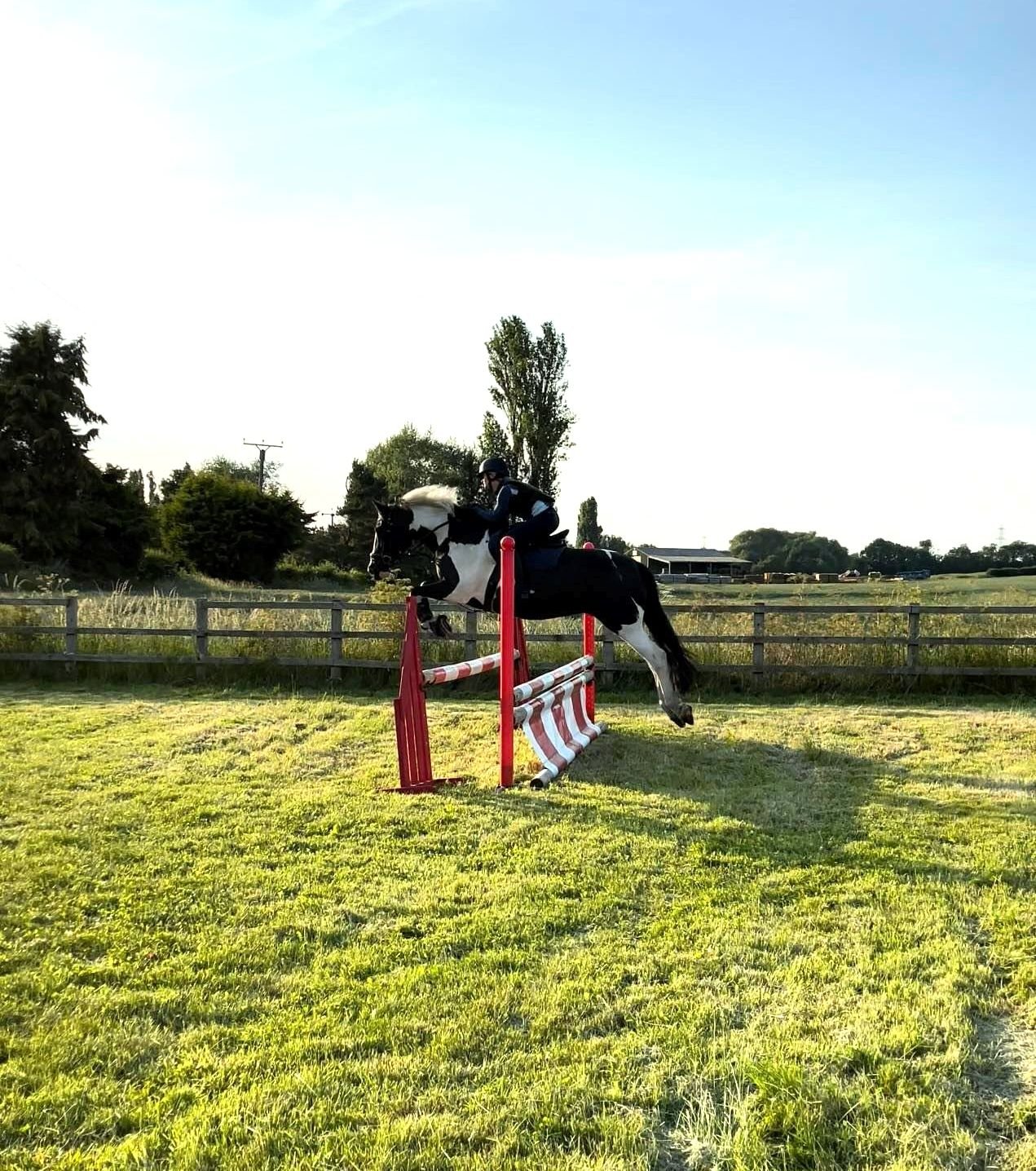 Equestrian Development Experts - rider shown is our team member and experienced showjumping competitor, Caitlin.