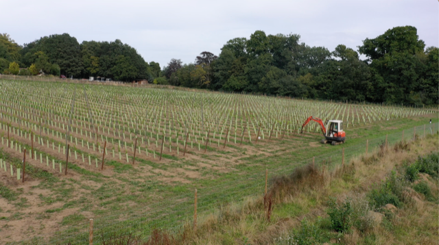 Architecture and Development Experts - Planning Approval for Vineyard and Bottling Room 