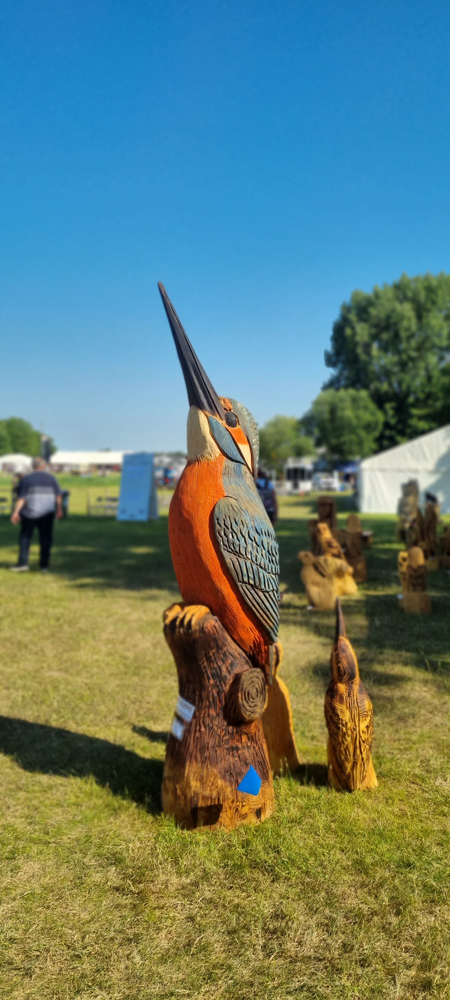 Fytche-Taylor are members of the Lincolnshire Agricultural Society â€“ we are exhibiting at the 140th Lincolnshire Show!