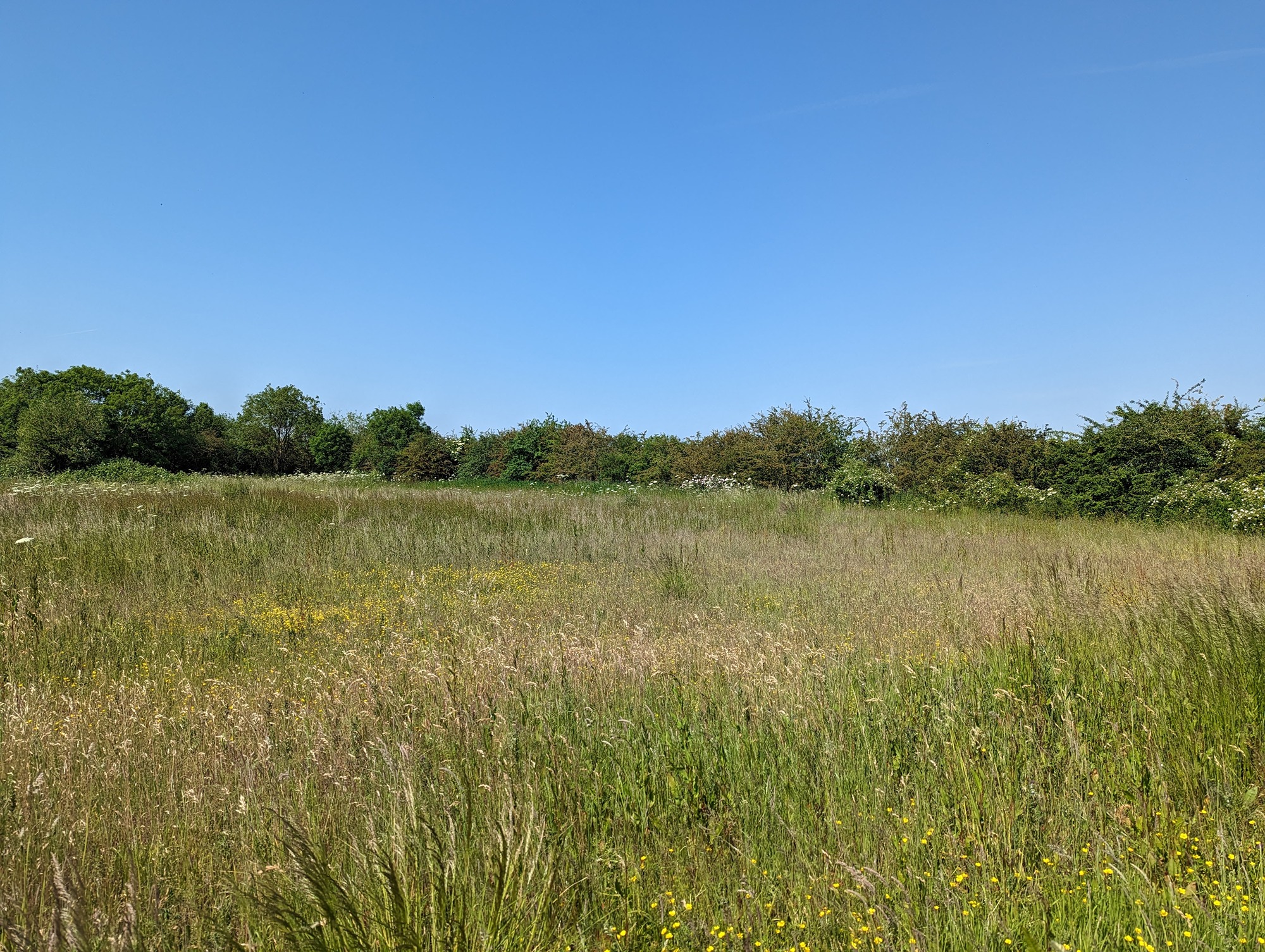 Planning Permission Approved for luxury lodges and nature park in Faldingworth near Lincoln.