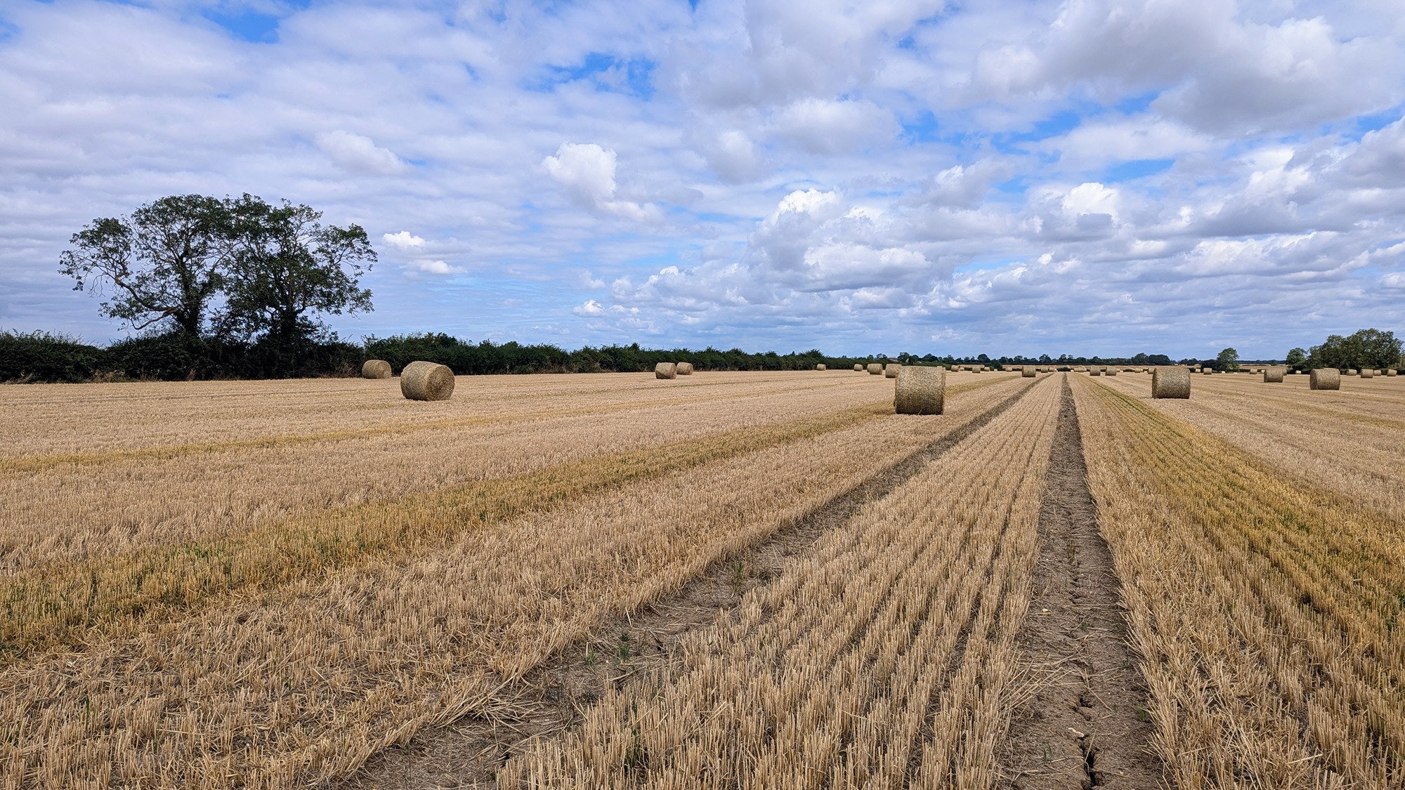 Development land in Lincolnshire assessed by Fytche-Taylor Planning for planning potential and site promotion opportunities.