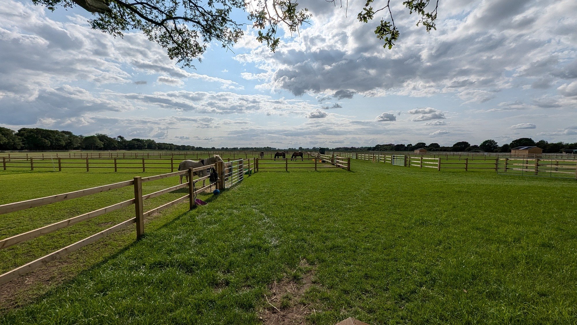 Planning consultants preparing applications for stables, riding arenas, and equestrian facilities in rural settings