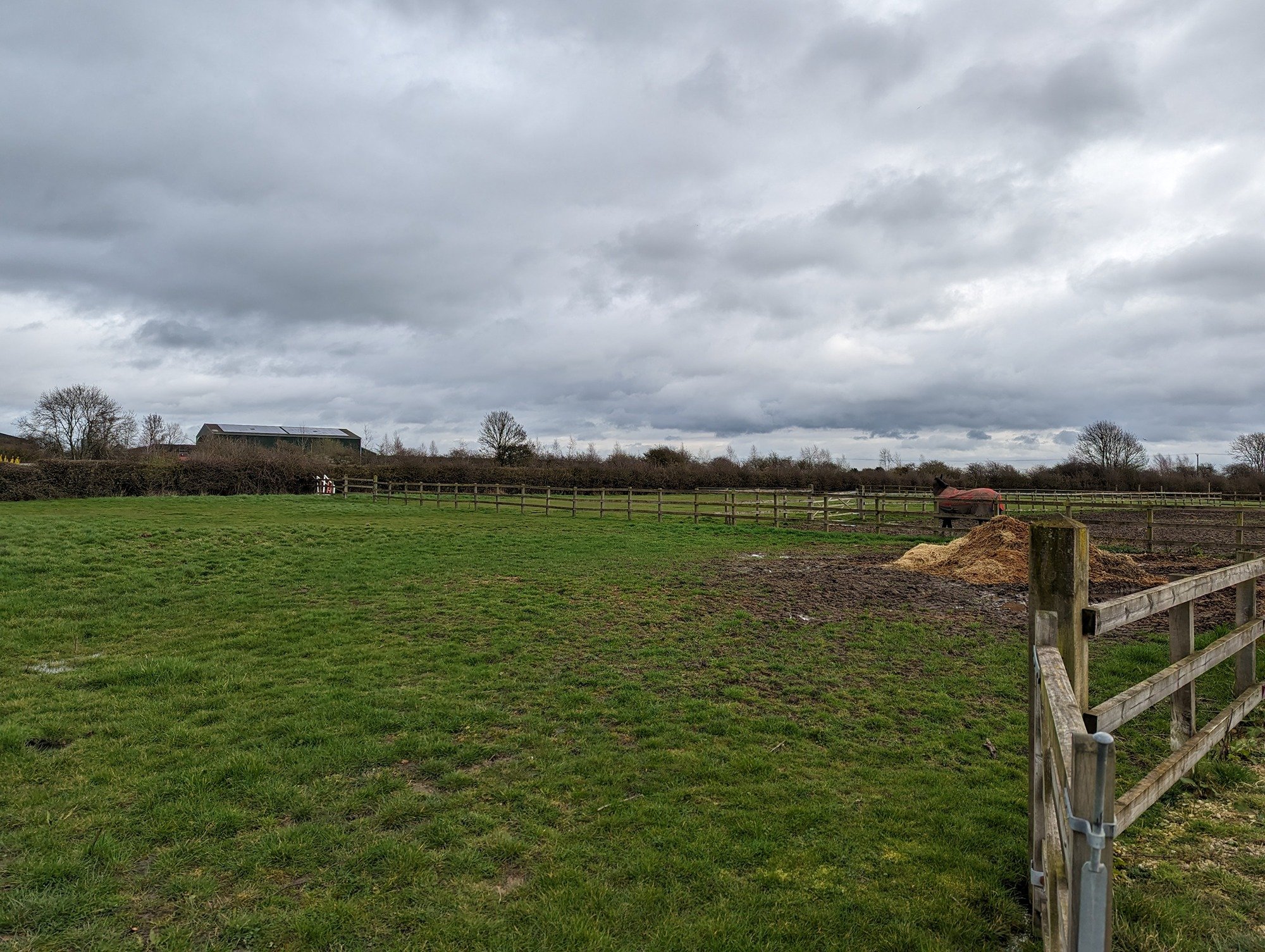 Outdoor riding arena and lunge pen layout designed for private equestrian use