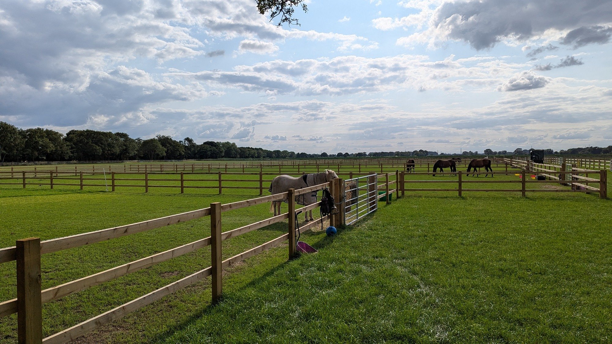 New stables and secure paddocks forming part of Carr Farm equestrian development