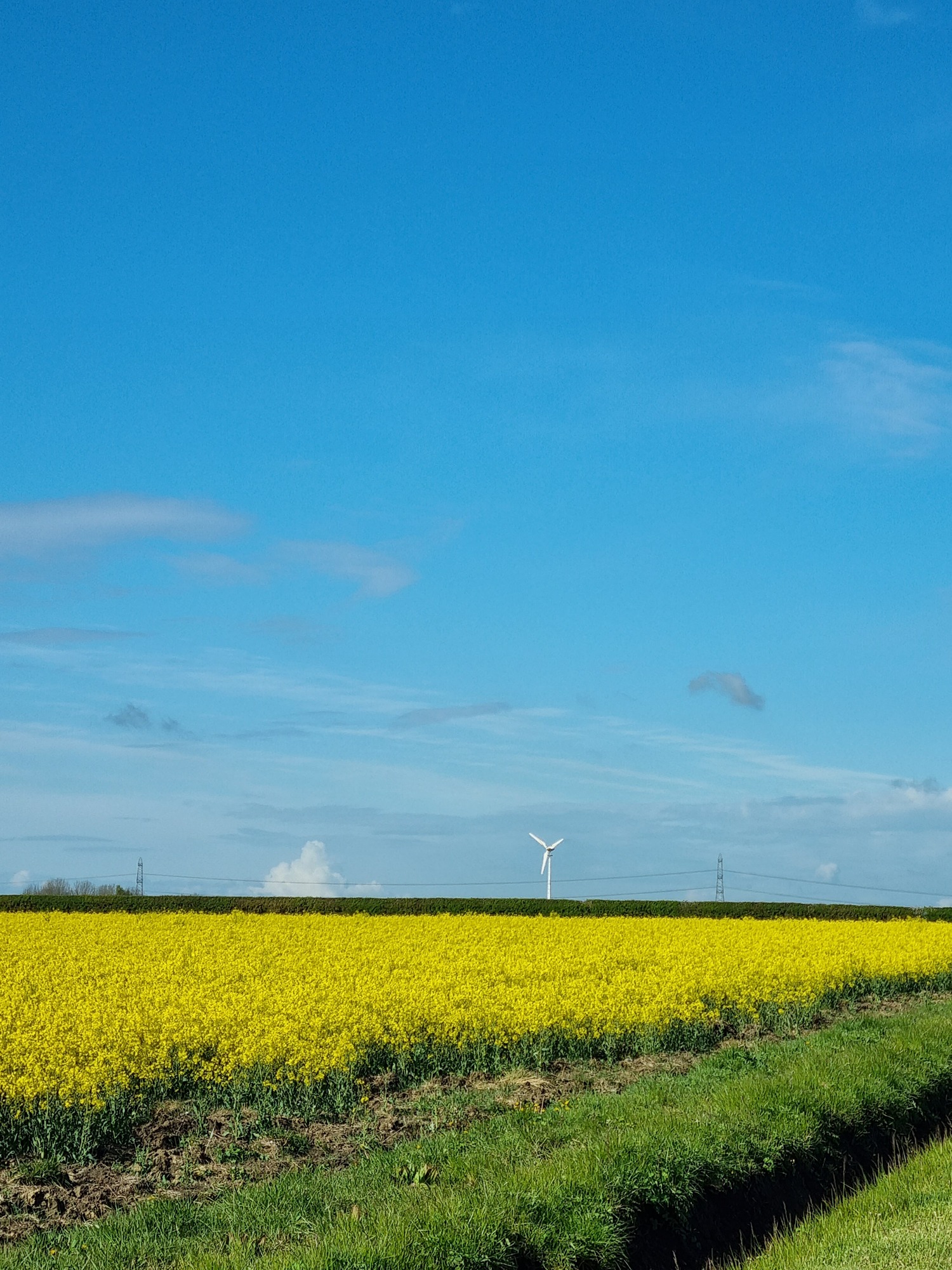 Get expert advice on appeals against planning refusals or non-determination