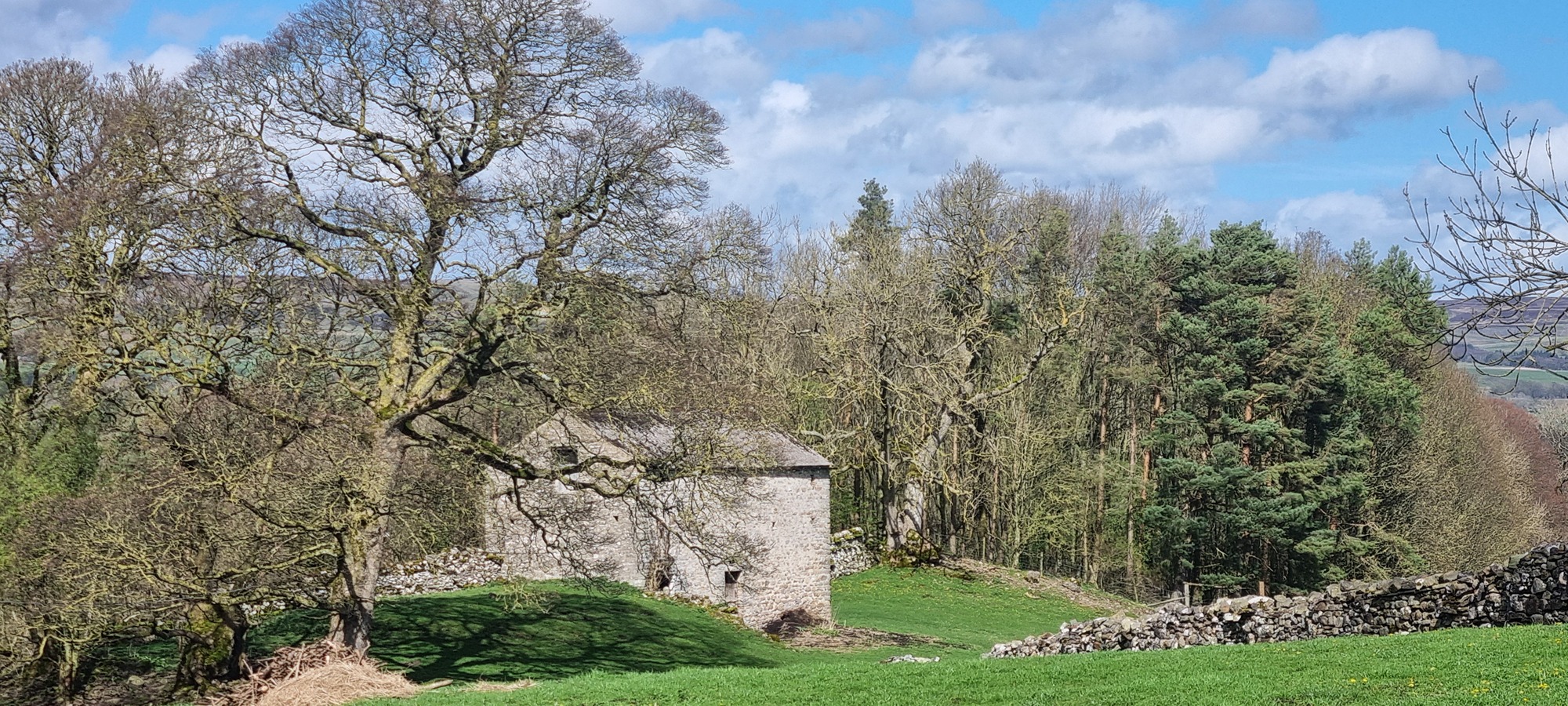 Consultant providing expertise on LDCs for residential and commercial sites