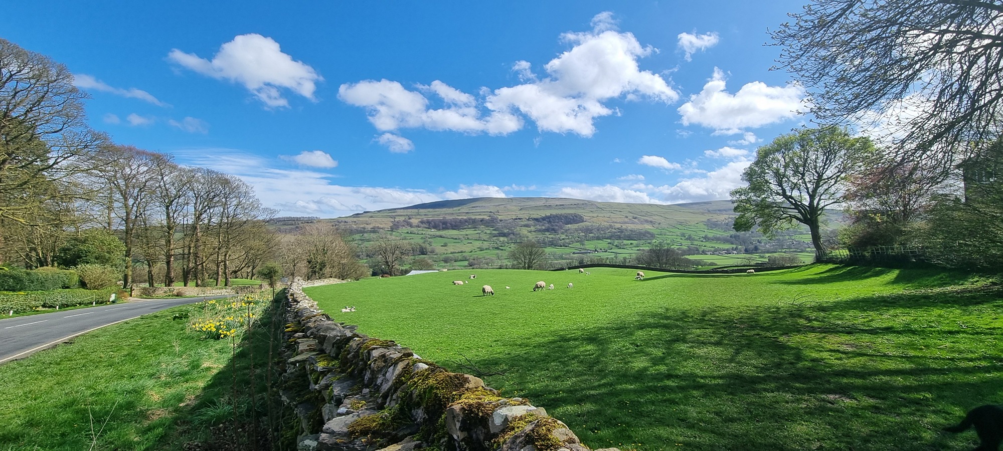 Expert planning consultancy support for land promotion in Amber Valley