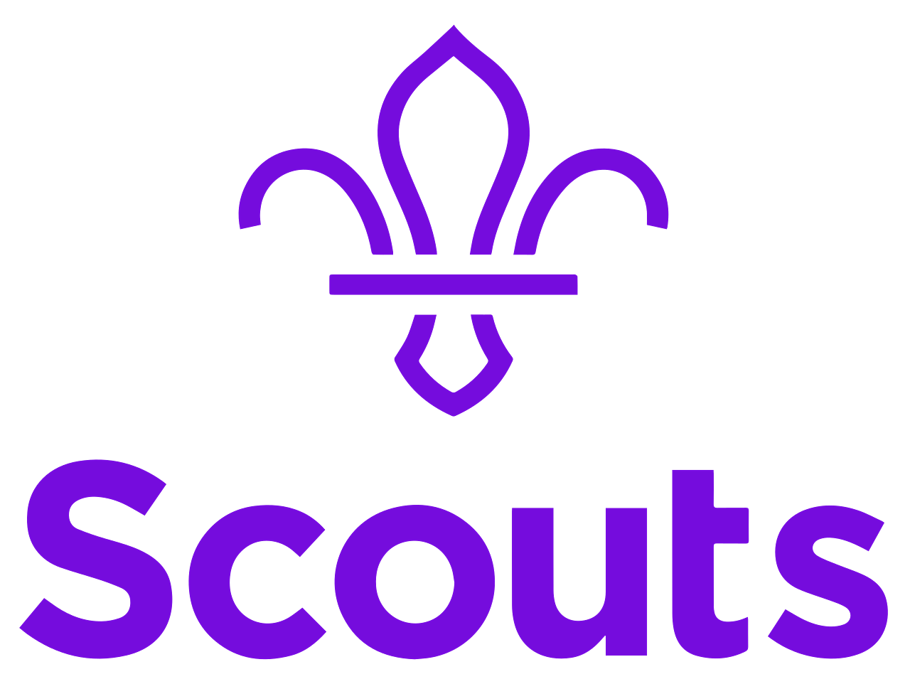 Scouts - Lincolnshire Branch