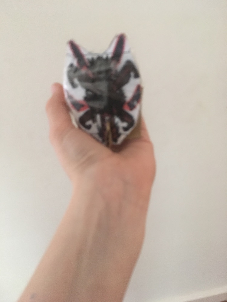 cactus general figure