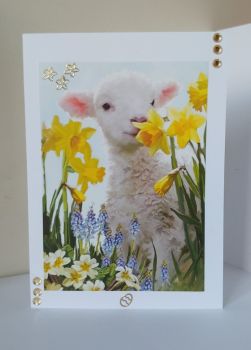 Lamb with Daffodils