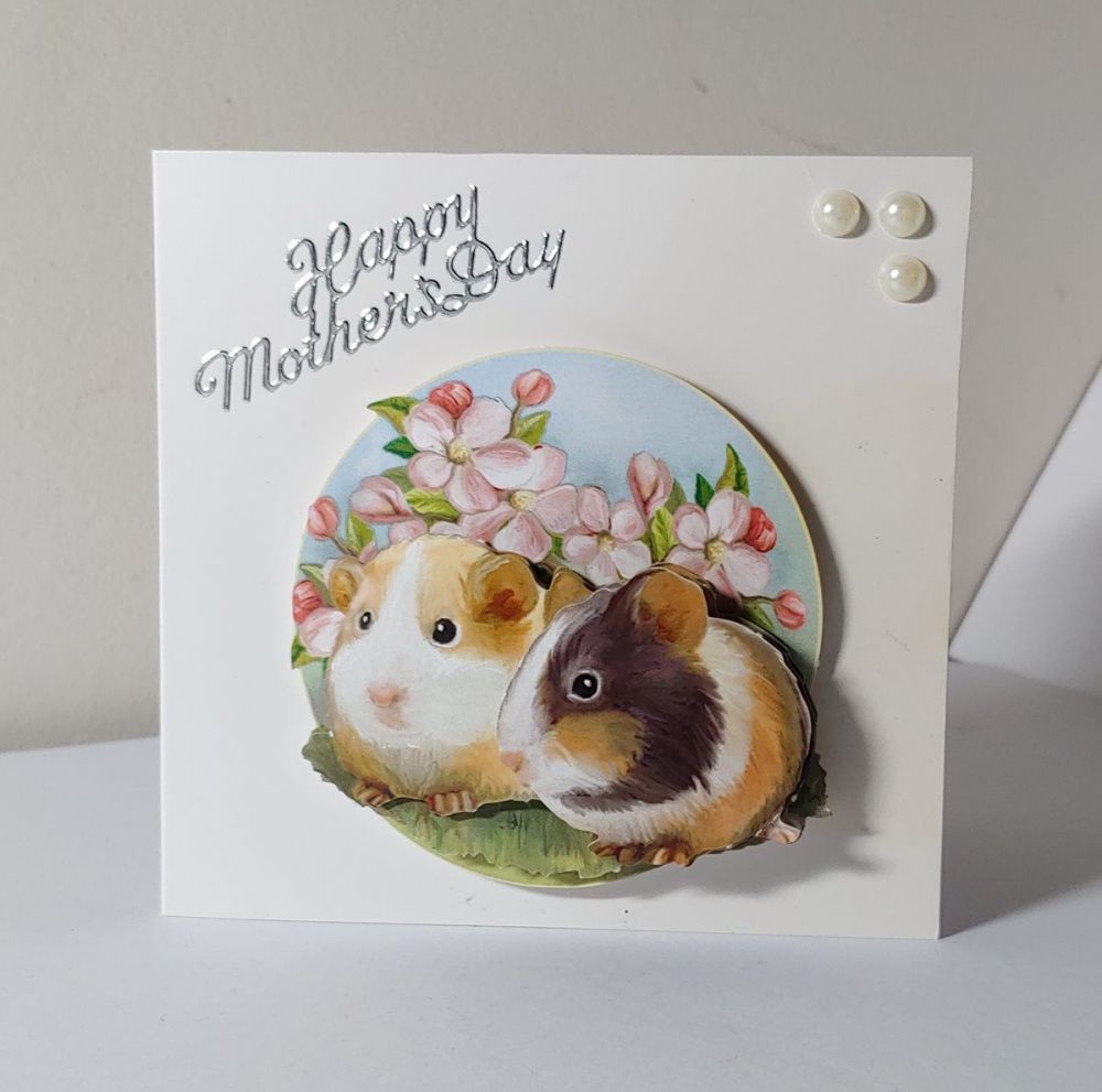 Happy Mother's Day Guinea Pigs